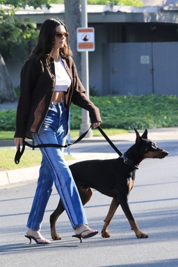 2021年5月7日，遛狗，Kendall Jenner
