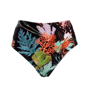 Coral 印花比基尼三角裤
