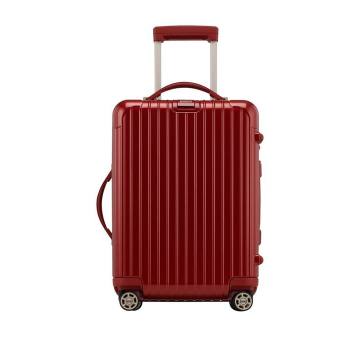 Salsa Deluxe Cabin 21" Multiwheel Suitcase