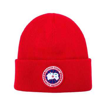 Artic Disc Toque beanie