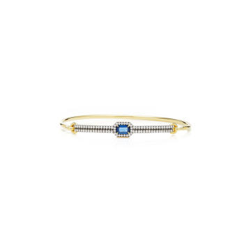 Limited Edition Yellow Gold And Sapphire Prive Closed Bangle