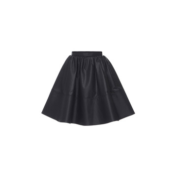 A Line Mini Skirt