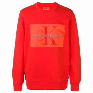 logo sweatshirt