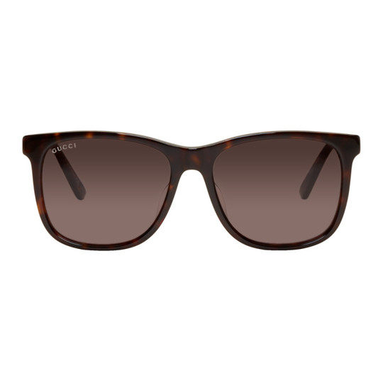 Tortoiseshell Classic Wayfarer Sunglasses展示图
