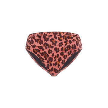 Animal-Print High-Rise Bikini Brief