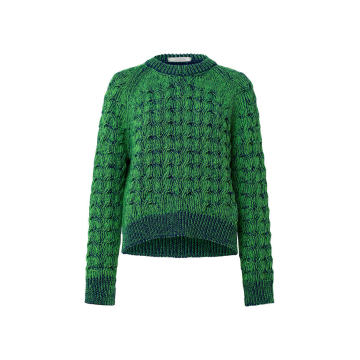 Eclectic Ease Virgin Wool Pullover