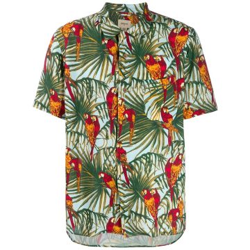 parrot print shirt