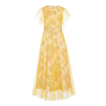 Printed Slip Tulle Dress