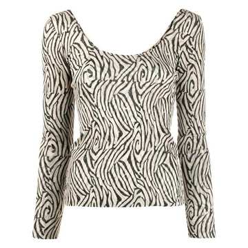 Aurelia zebra jumper