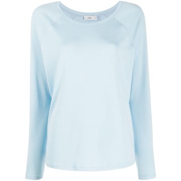 raglan sleeve top