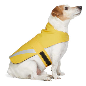 SSENSE 独家发售黄色 PVC 轻量宠物雨衣