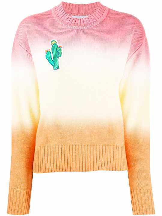 Cactus ombré sweater展示图