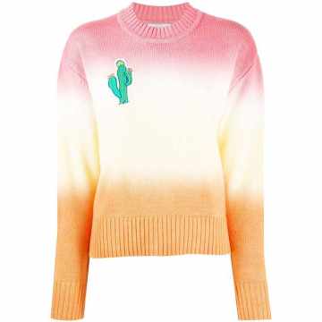 Cactus ombré sweater