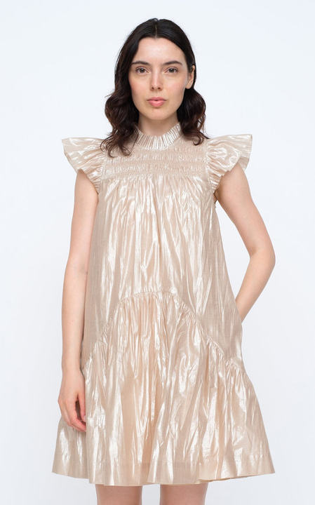 Lumier Pleat-Trimmed Smocked Metallic Cotton-Blend Mini Dress展示图