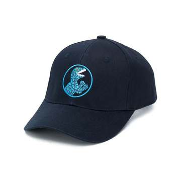 embroidered logo baseball cap