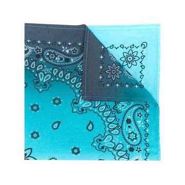 paisley embroidered scarf