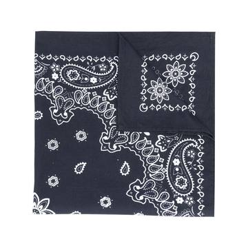 paisley embroidered scarf