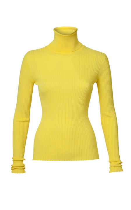 Stacy Ribbed Turtleneck展示图