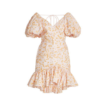 Fairmont Embroidered Cotton-Blend Mini Dress