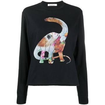 colourful dinosaur sweatshirt