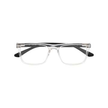monochrome optical glasses