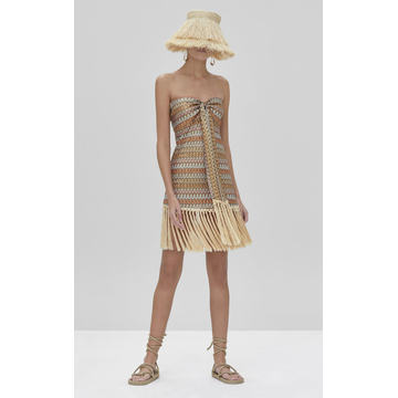 Tavia Sleeveless Fringe Dress