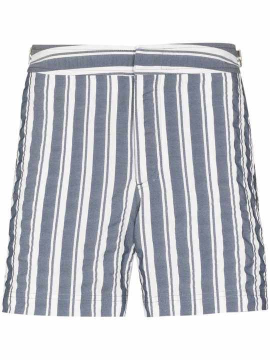 Blue And White Setter Stripe Swim Shorts展示图