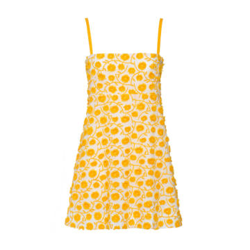 Clementine Floral Cotton Mini Dress
