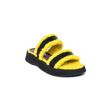 Siesta Sherpa Slides