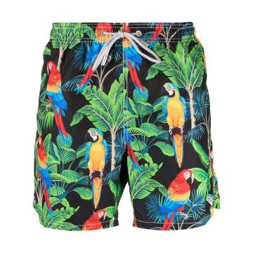 Macaw printed swim shorts