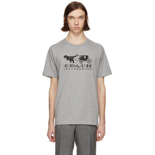 Grey Embroidered Rexy & Carriage T-Shirt展示图