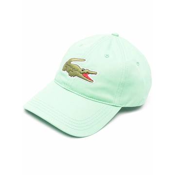 embroidered-logo baseball cap