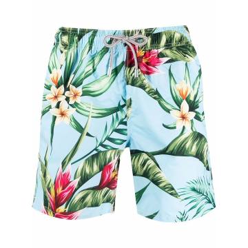 Gustavia 泳裤
