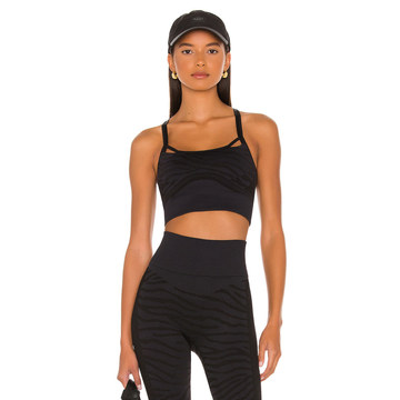 ASMC TPR Sports Bra