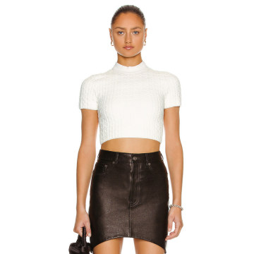 Cropped Short Sleeve Knit Top