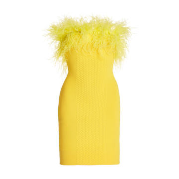 Blanca Feather-Trimmed Strapless Knitted Mini Dress