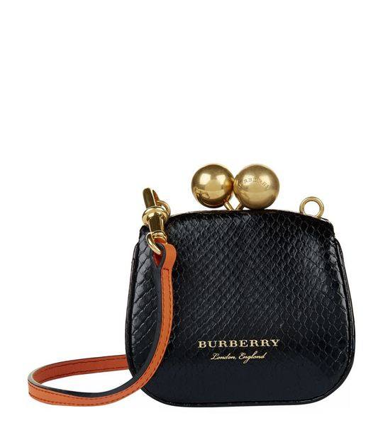 burberry mini frame bag