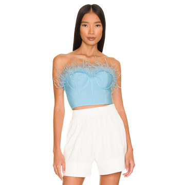 Ramona Bustier Top