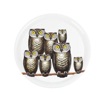 'Owl'猫头鹰印花托盘