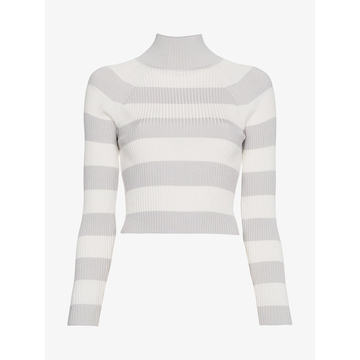 Stripe Crop Turtleneck