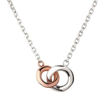 Sterling Silver and Rose Gold 20/20 Double Ring Necklace