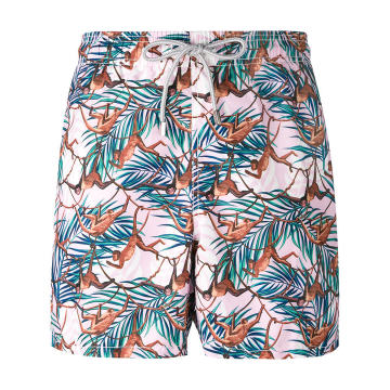 Gustavia泳裤