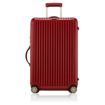 Salsa Deluxe 29 Multiwheel Suitcase
