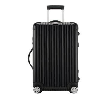 Salsa Deluxe 26" Multiwheel Suitcase